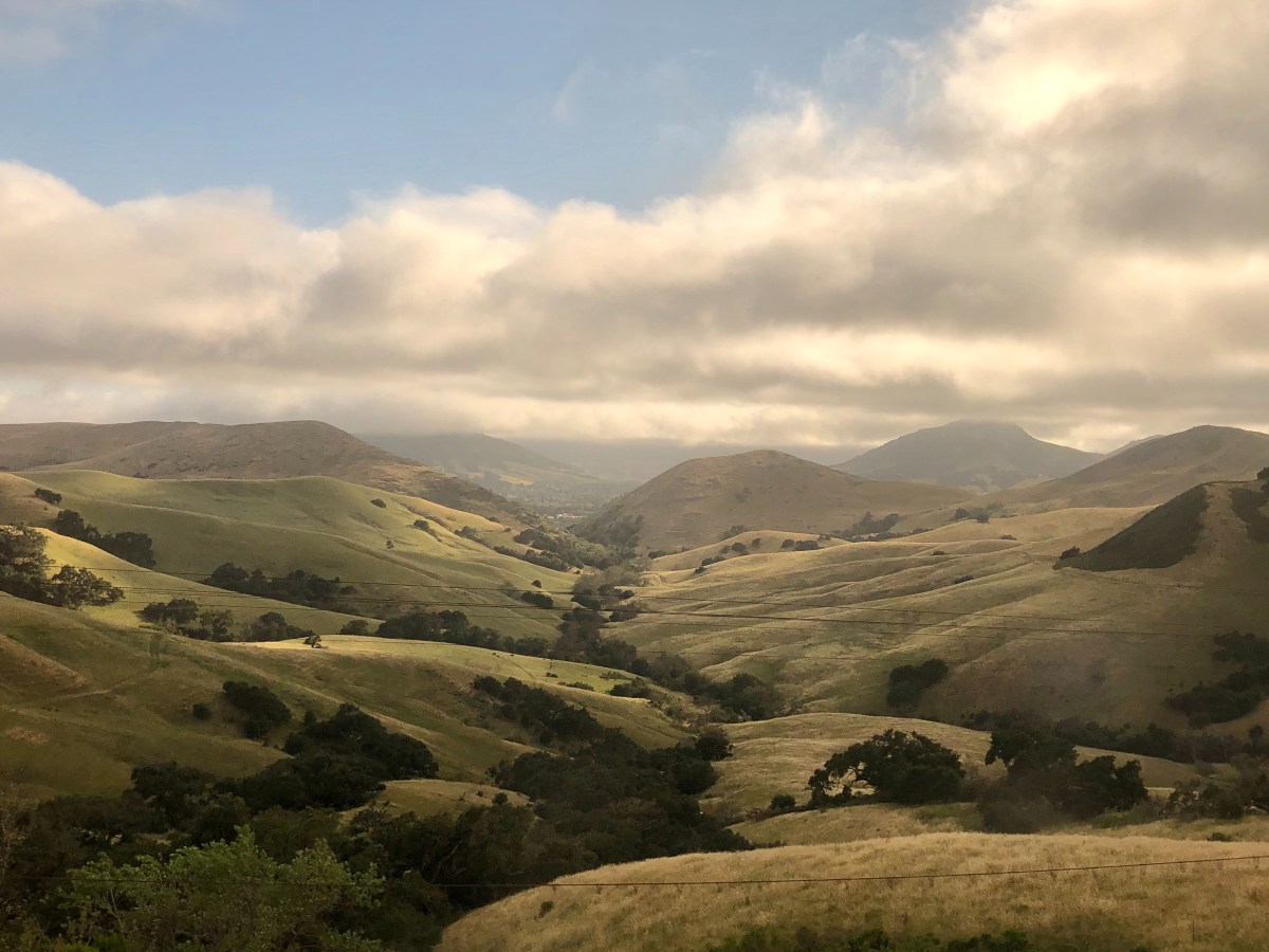 No One Thinks I’m a Writer but&nbsp;Me