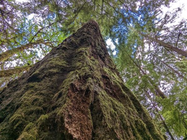 Where the Ones We Lose&nbsp;Go