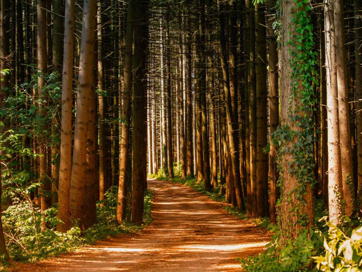 Instead, Get Curious